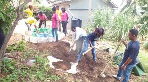 Family Kitchen Gardens